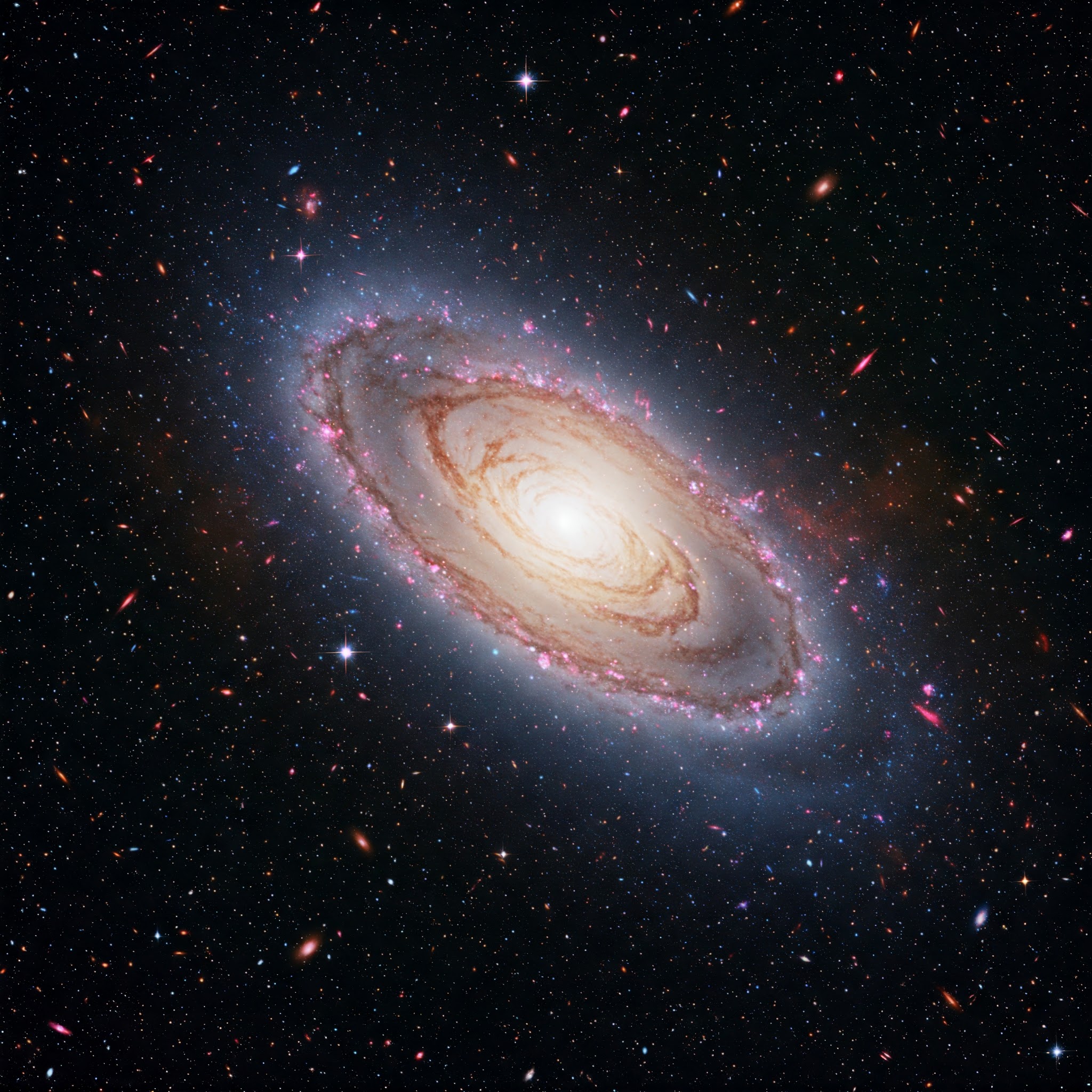 Afonso de Albuquerque